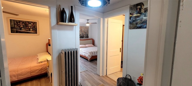 hallway with radiator heating unit and light hardwood / wood-style floors