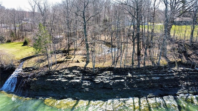 view of local wilderness