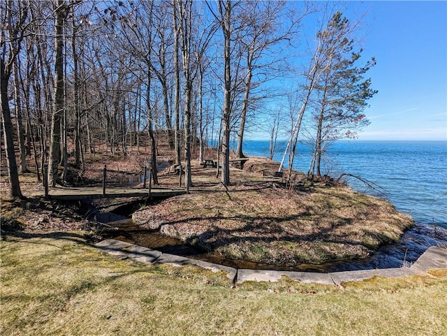 view of water feature