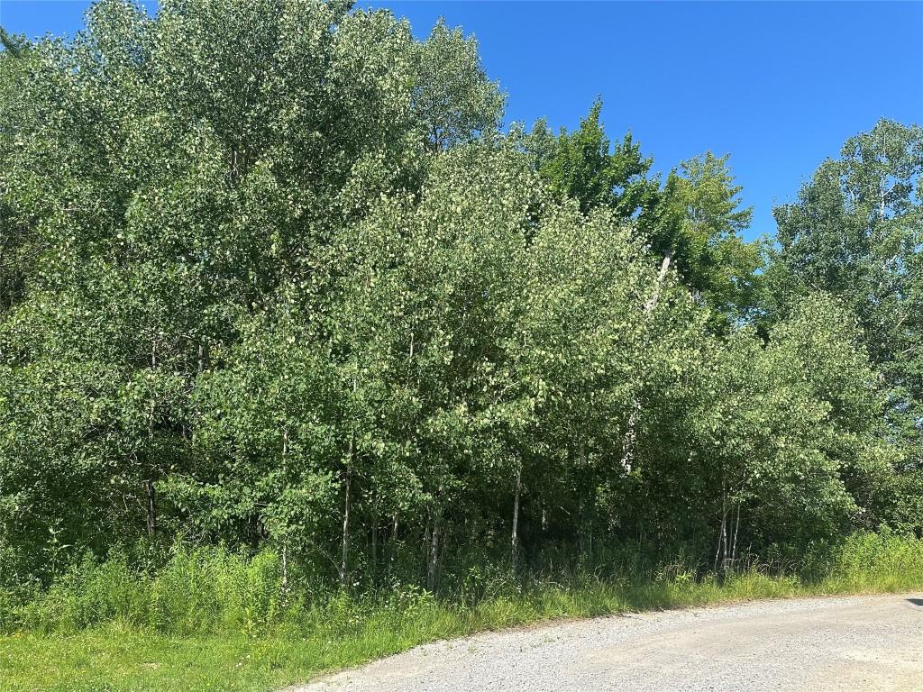 Charlotte Ave, Conneaut Lake, PA 16316 - photo 2
