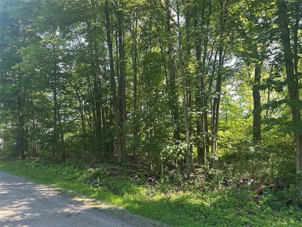 Charlotte Ave, Conneaut Lake, PA 16316 - photo 1
