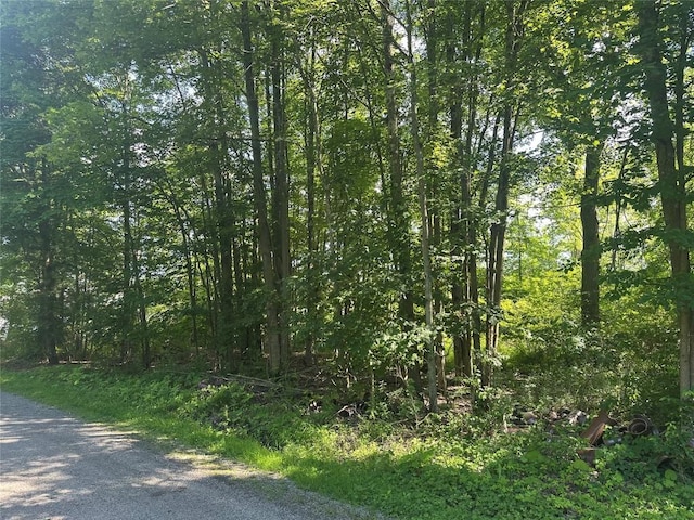 Charlotte Ave, Conneaut Lake, PA 16316 - photo 1