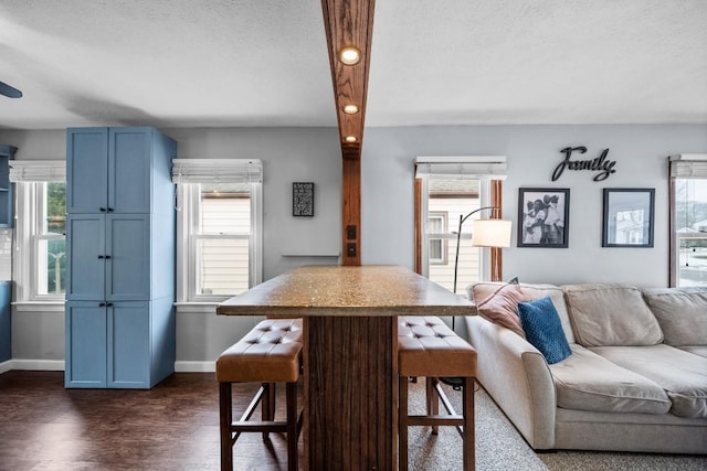 kitchen with a breakfast bar, open floor plan, plenty of natural light, and blue cabinetry