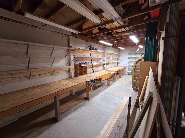 basement featuring a workshop area