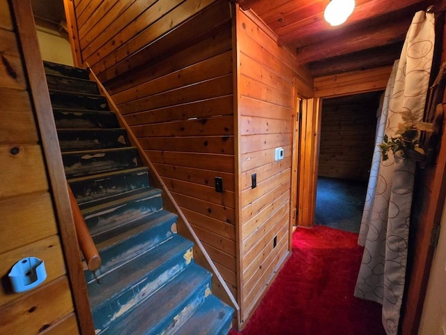 stairway featuring carpet, wood walls, and wooden ceiling