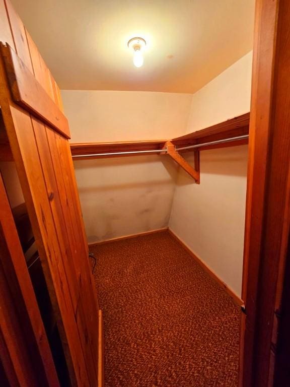 walk in closet with carpet flooring