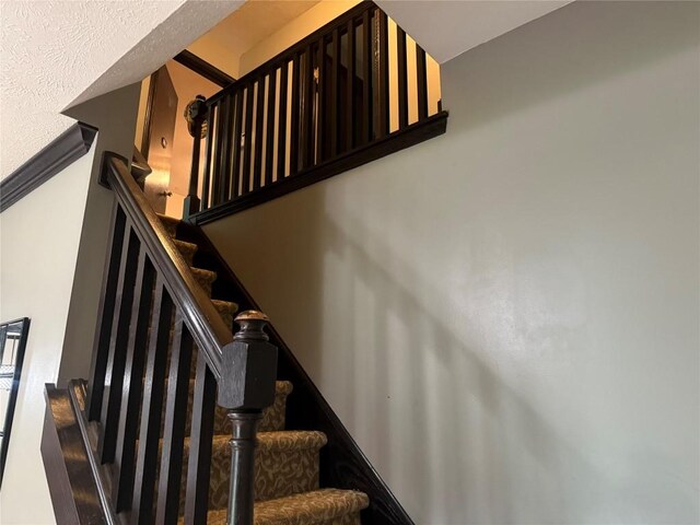 6365 Lindenfield Dr, Fairview, PA 16505 - photo 11