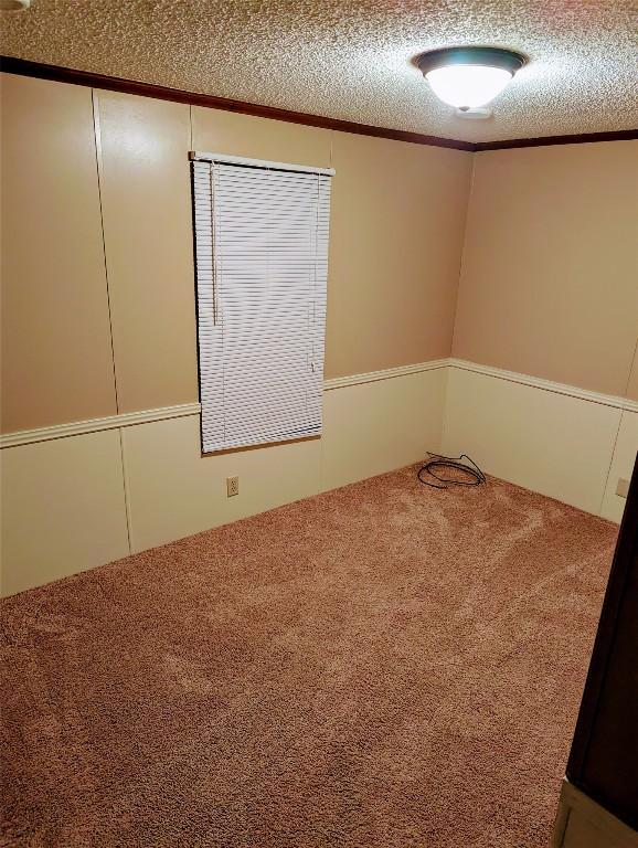 empty room featuring crown molding, carpet, and a textured ceiling