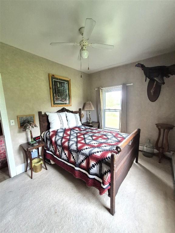 23754 S Beaver Rd, Springboro, PA 16435 - carpeted bedroom with a ceiling fan