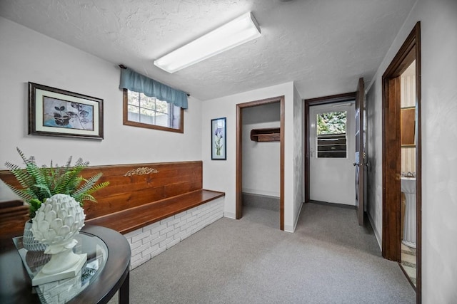 5124 W Ridge Rd, Erie, PA 16506 - interior space featuring a textured ceiling and carpet floors