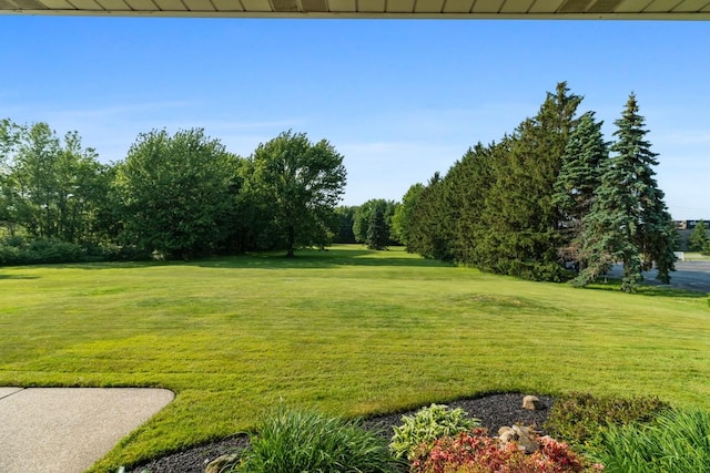 5124 W Ridge Rd, Erie, PA 16506 - view of grassy yard