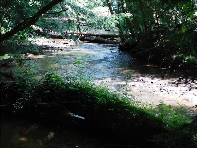 15954 Parsons Ln, Edinboro, PA 16412 - view of undeveloped land