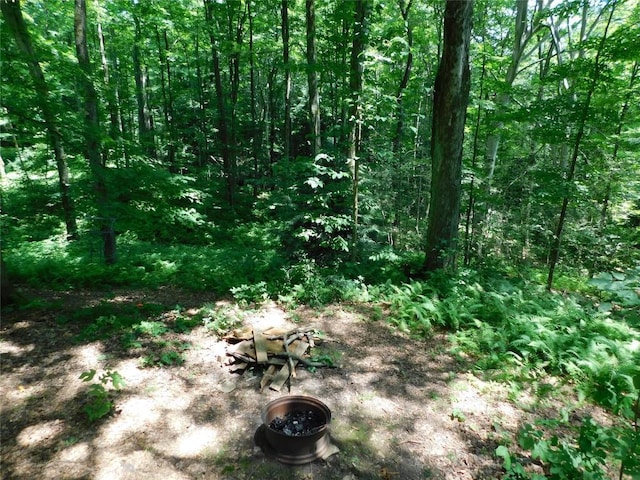 15954 Parsons Ln, Edinboro, PA 16412 - view of local wilderness