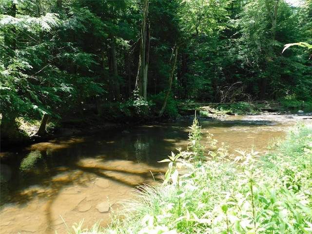 15954 Parsons Ln, Edinboro, PA 16412 - view of local wilderness