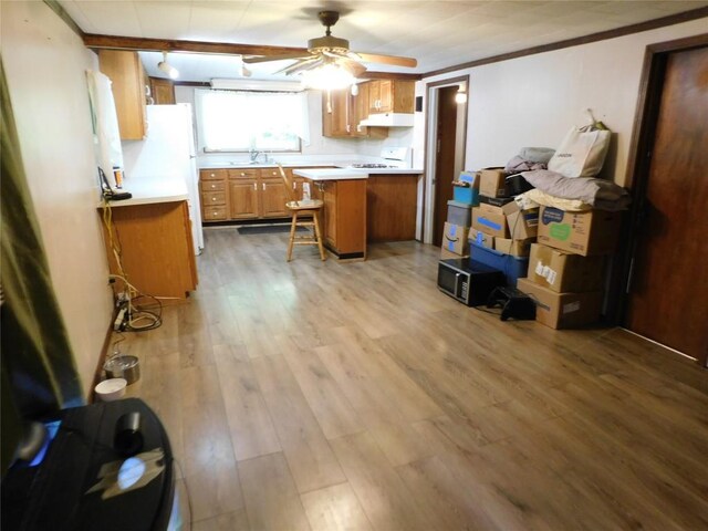 15954 Parsons Ln, Edinboro, PA 16412 - kitchen featuring under cabinet range hood, light countertops, range, ceiling fan, and brown cabinets