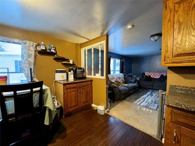 kitchen featuring dark wood-type flooring