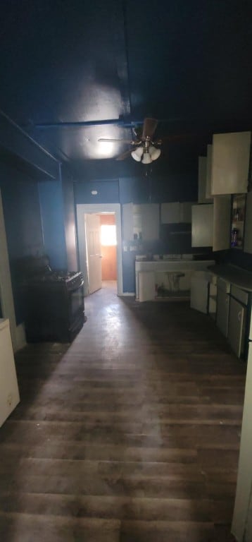 living room featuring ceiling fan and dark wood-type flooring