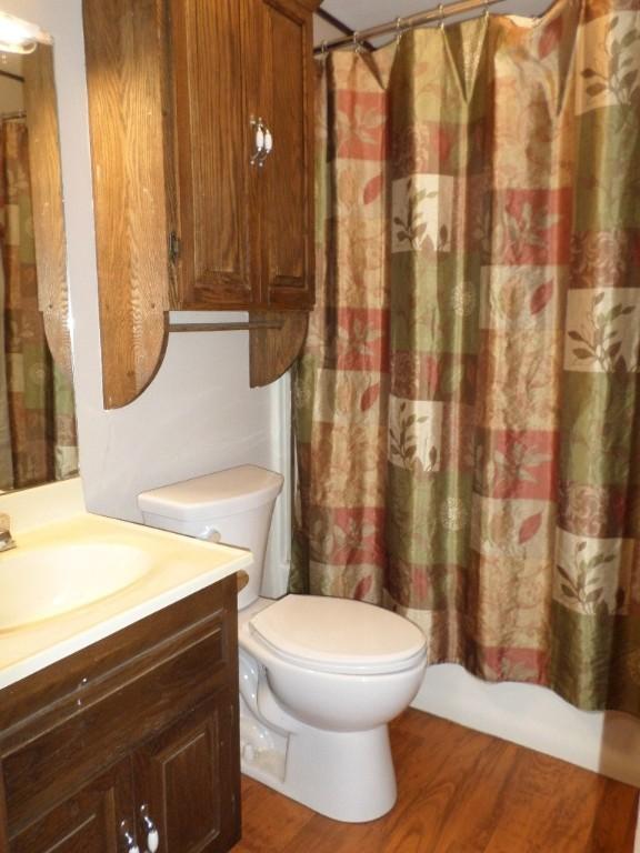 bathroom featuring vanity, toilet, and wood-type flooring