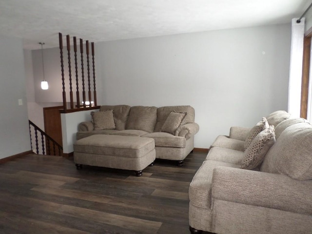 living room featuring dark wood-type flooring