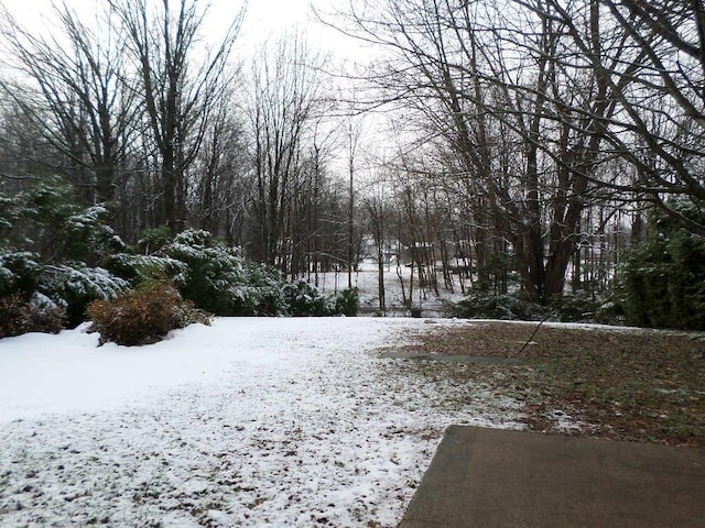 view of yard covered in snow