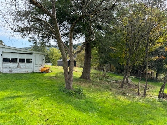 view of yard featuring a garage and an outdoor structure