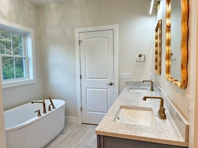 bathroom featuring vanity and a bathtub