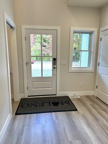 doorway to outside featuring a healthy amount of sunlight and light wood-type flooring