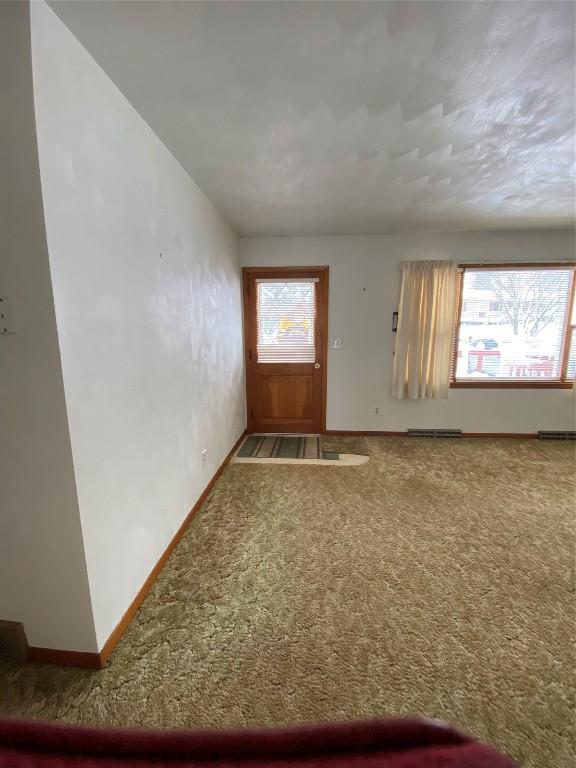 view of carpeted foyer