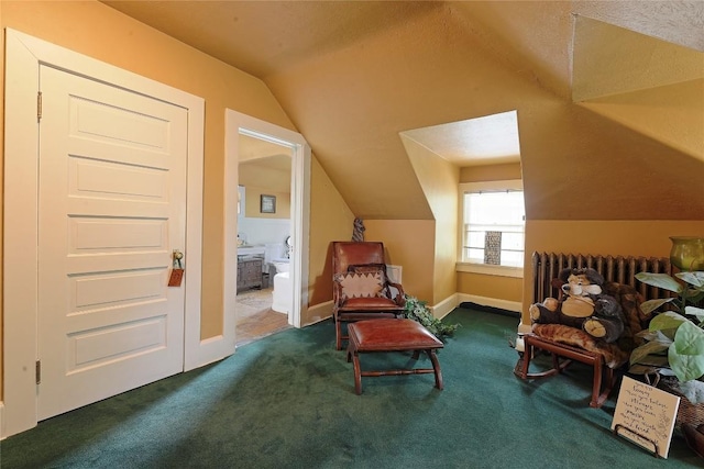 sitting room with dark carpet and vaulted ceiling