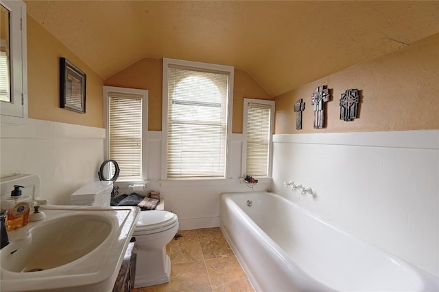 bathroom with toilet, sink, vaulted ceiling, and a washtub