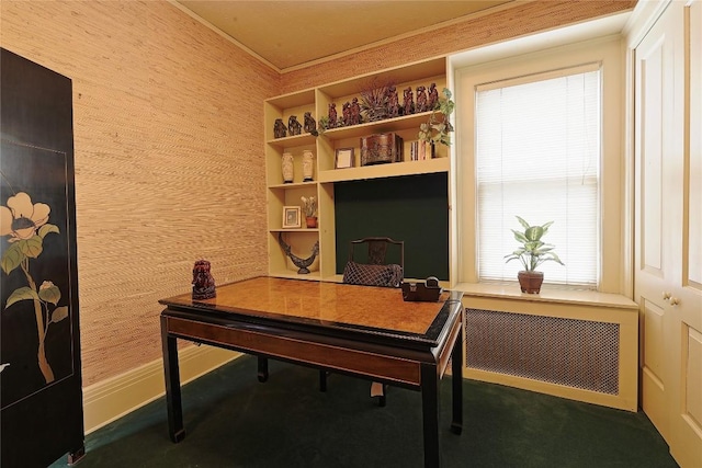 office with radiator and crown molding