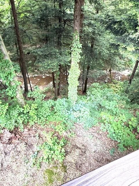 14770 Foster Rd, Conneautville, PA 16406 - photo 4