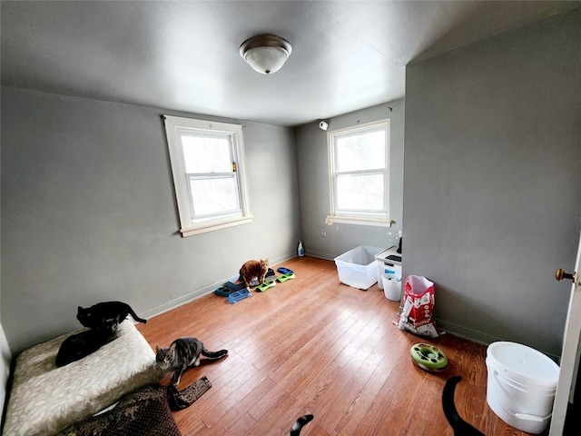 interior space with wood-type flooring