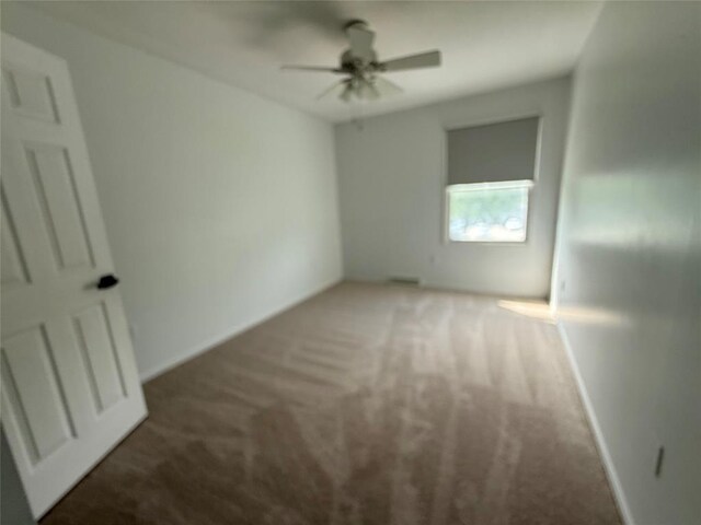 816 E Grandview Blvd, Erie, PA 16504 - unfurnished bedroom featuring carpet floors and a ceiling fan