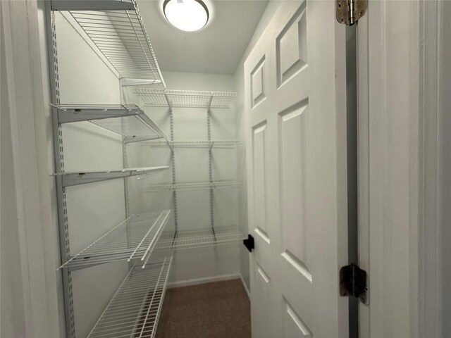 816 E Grandview Blvd, Erie, PA 16504 - spacious closet featuring carpet floors