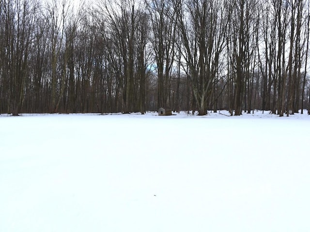 view of yard layered in snow