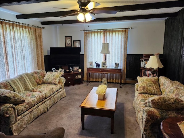 carpeted living room with ceiling fan, beam ceiling, a wealth of natural light, and a baseboard radiator