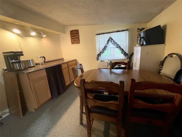 11694 Oakfield Rd, Conneaut Lake, PA 16316 - carpeted dining room with a textured ceiling and a textured wall