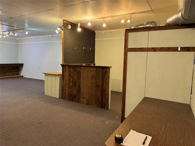 finished basement featuring dark colored carpet and track lighting