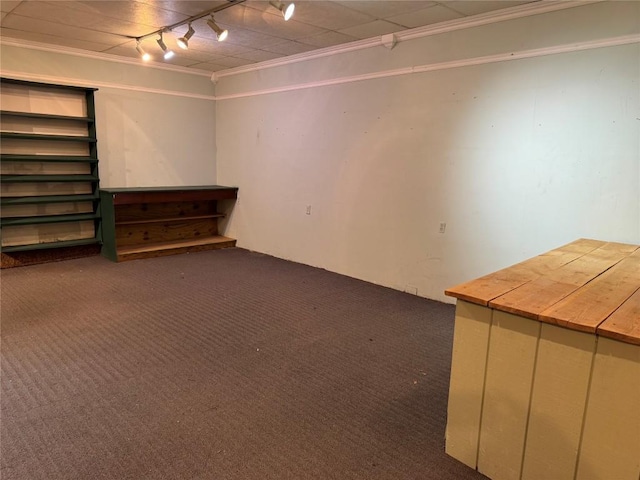 finished basement featuring carpet floors, crown molding, and track lighting