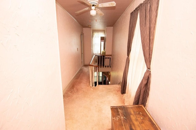317 W Elm St, Titusville, PA 16354 - photo 29