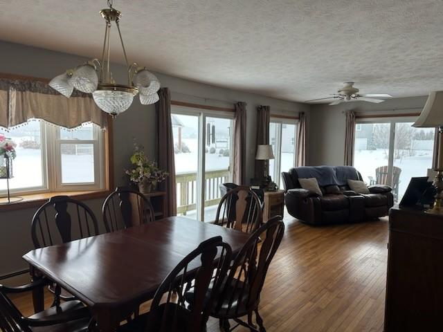 dining space with ceiling fan with notable chandelier, wood-type flooring, and a textured ceiling