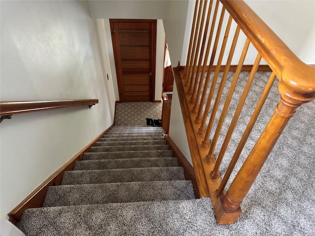 stairway featuring carpet floors