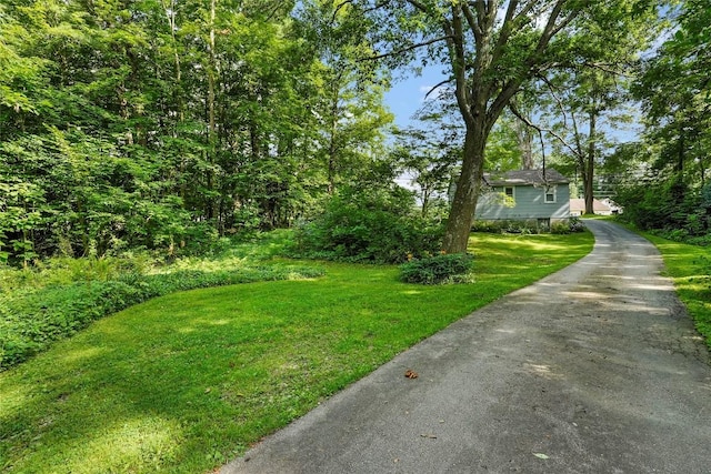 6750 W Ridge Rd, Fairview, PA 16415 - view of green lawn featuring driveway