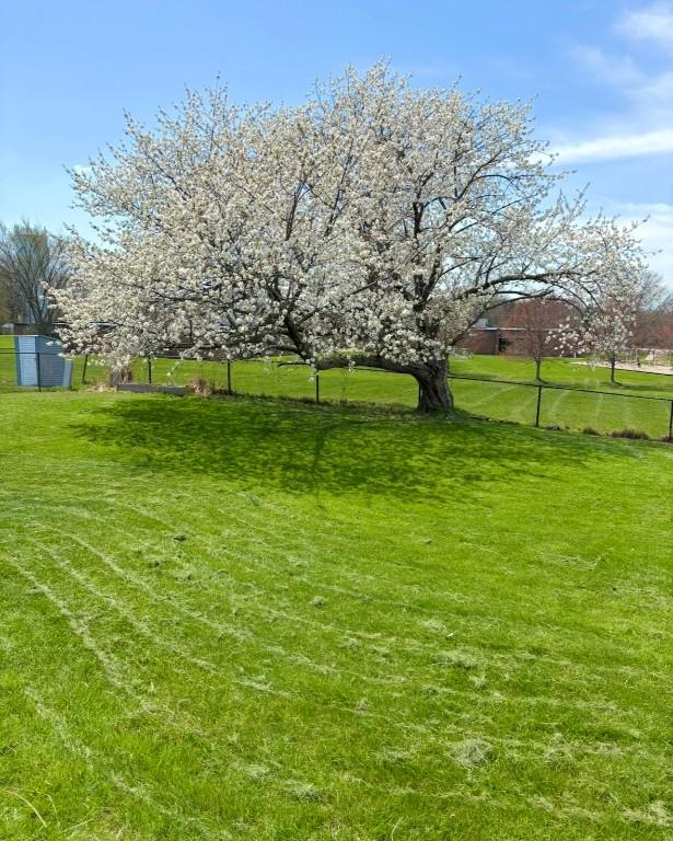 4224 Amherst Rd, Millcreek, PA 16506 - view of grassy yard