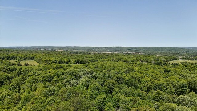 21641 Irish Rd, Edinboro, PA 16412 - photo 24