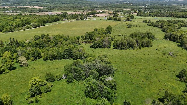 21641 Irish Rd, Edinboro, PA 16412 - photo 27