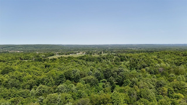 21641 Irish Rd, Edinboro, PA 16412 - photo 23
