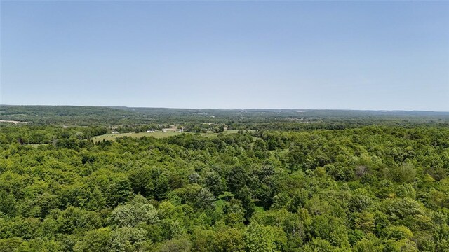 21641 Irish Rd, Edinboro, PA 16412 - photo 25
