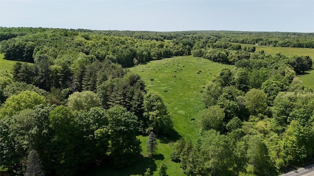 21641 Irish Rd, Edinboro, PA 16412 - photo 33